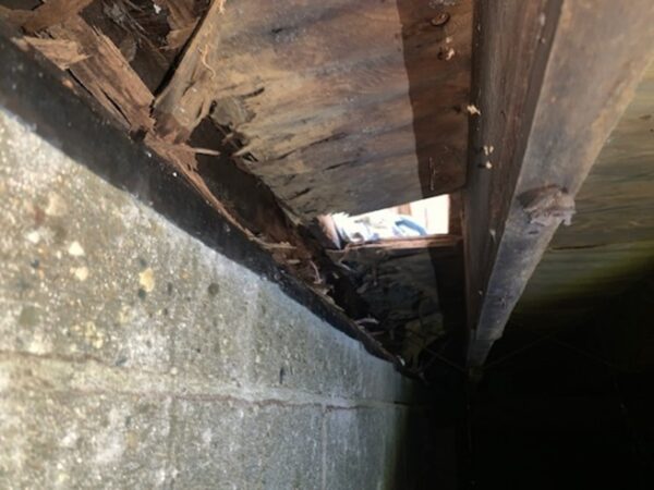 Rotted band board due to water and mold in Crawlspace.