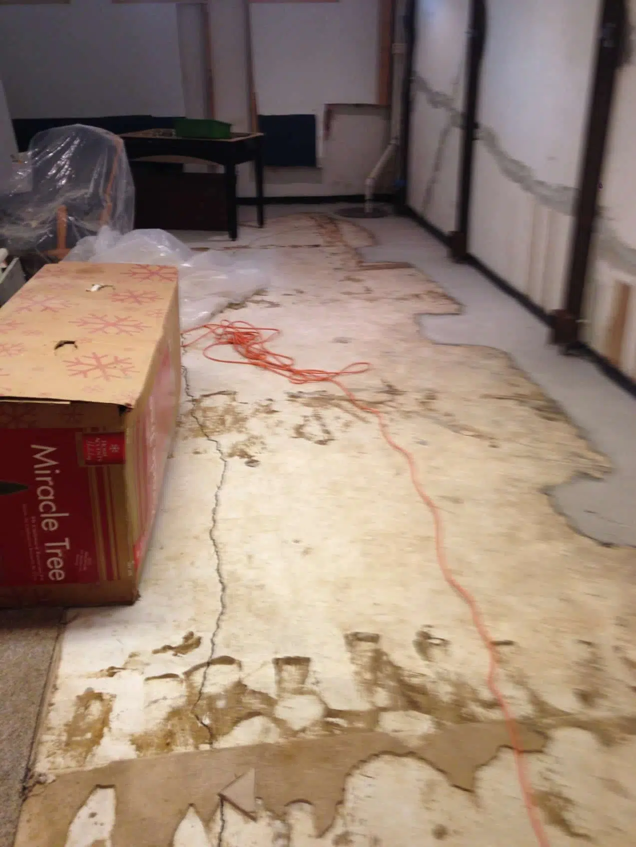 Repair water issues in Basement