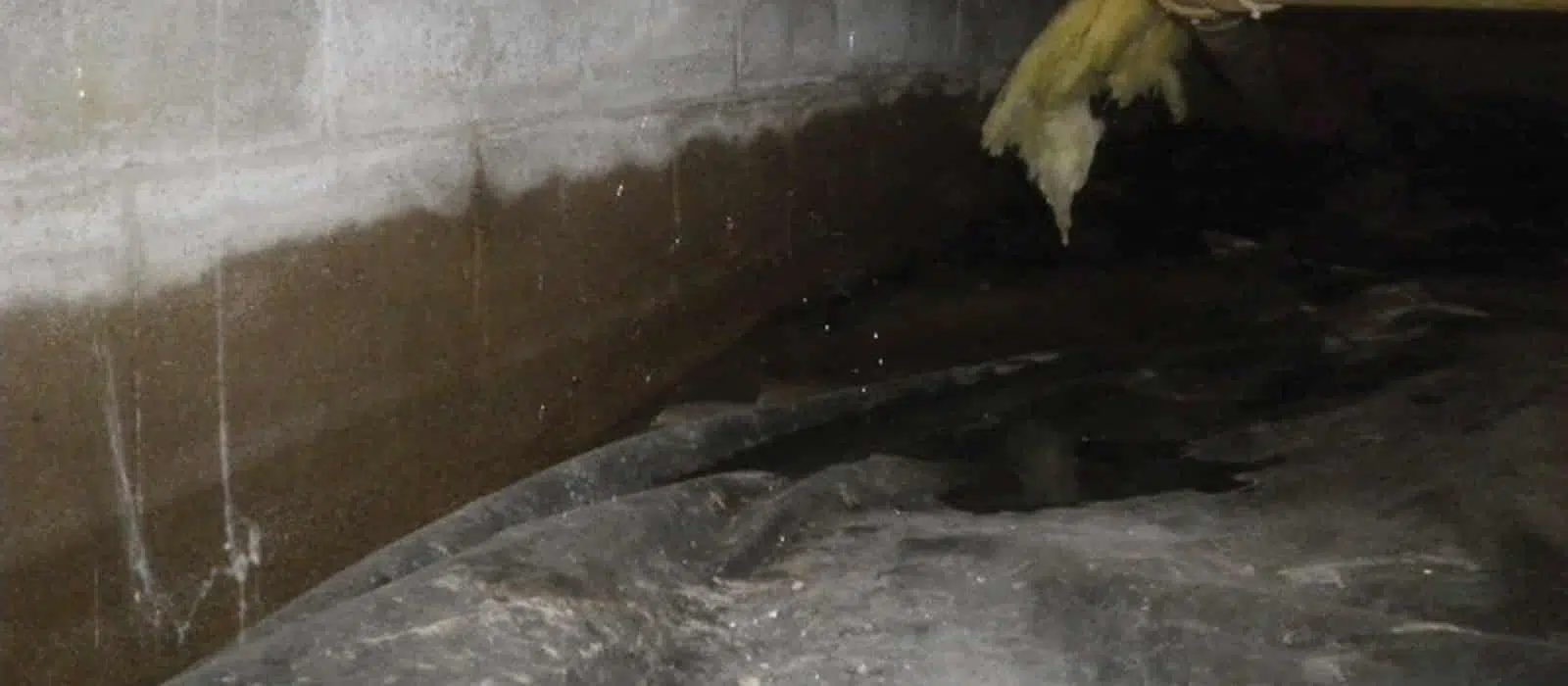 damp crawl space