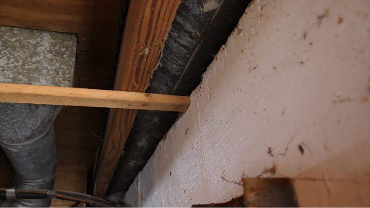 Foundation Repair_Wall_Anchors