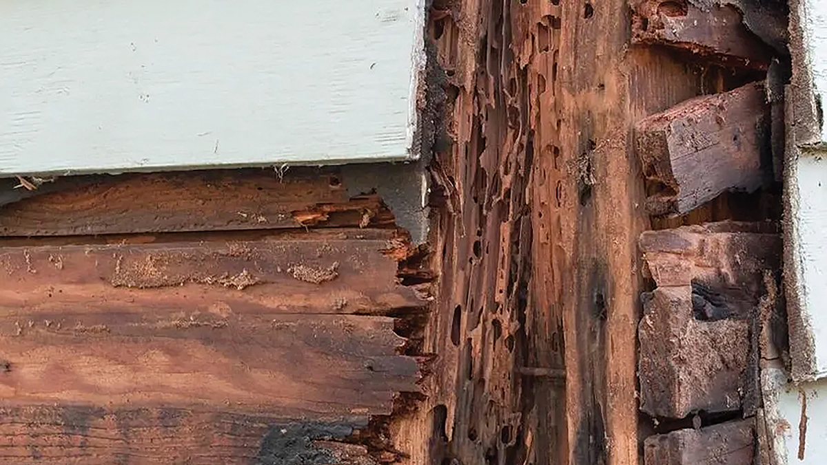 crawl space repair for rotten wood